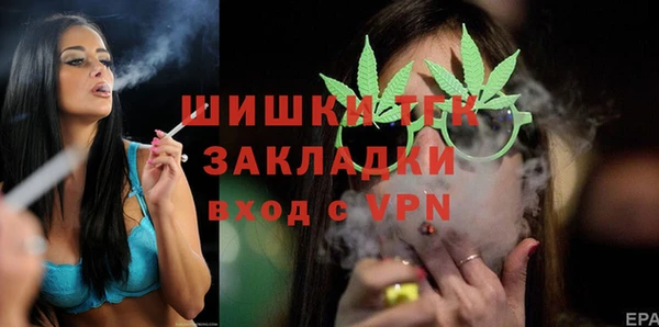 винт Гусь-Хрустальный