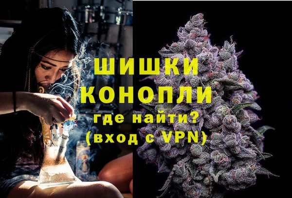 винт Гусь-Хрустальный