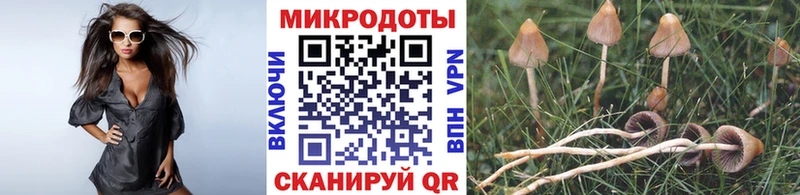 Псилоцибиновые грибы мицелий  Купить где  Теберда 